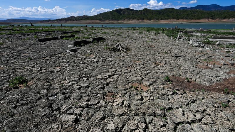 La planète encore plus en surchauffe? Un phénomène El Niño débutera "très probablement" à partir de cet été