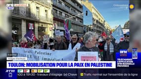 Toulon: mobilisation pour la paix en Palestine 