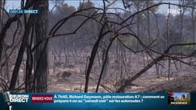 La piste criminelle privilégiée après l'incendie dans le Gard: élus et pompiers redoublent de vigilance