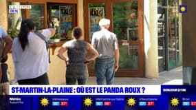 Saint-Martin-la-Plaine: où est le panda roux?