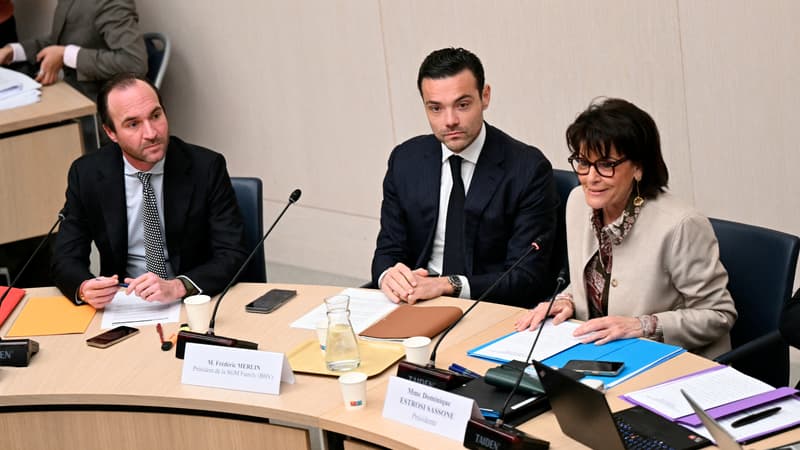 "Arrêtez de nous voir comme le grand méchant loup": Shein et le BHV se défendent devant les sénateurs