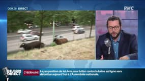 Ils volent... des moutons sur le périphérique parisien