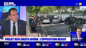 Projet de réaménagement de la rive droite du Rhône: quelles solutions alternatives?
