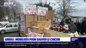 Arras: les producteurs d'endives mobilisés ce jeudi 