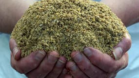 Les principaux producteurs de farine ont été condamnés à 242,4 millions d'euros pour ententes illégales