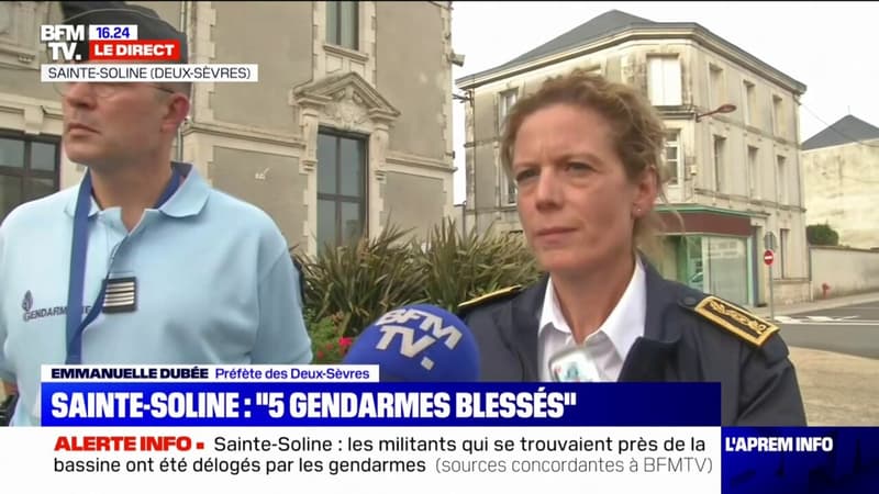 Sainte-Soline: les forces de l'ordre ont essuyé des 