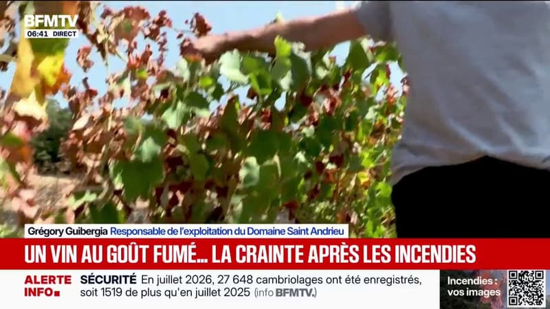 Ce vigneron du Var craint du vin "au goût de brûlé" à cause de l'incendie