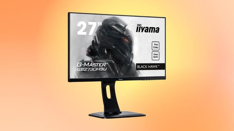 French Days : jolie remise sur l'écran de PC gamer signé Iiyama chez Cdiscount