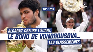 Alcaraz creuse l'écart sur Djokovic, l'énorme bond de Vondrousova... les classements ATP/WTA après Wimbledon 