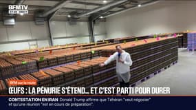 "La production a un peu du mal à suivre en ce moment": la pénurie d'œufs s'étend dans les supermarchés français