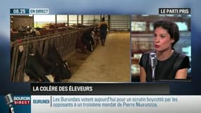 Le parti pris d'Apolline de Malherbe: Colère des éleveurs: "la réalité, c'est que la faute est collective" - 21/07