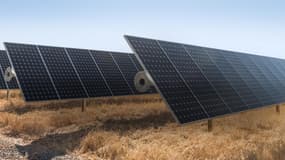 Apple annonce l’extension de son programme de protection de forêts en Chine et mise sur les énergies renouvelables à l'image des panneaux solaires qui alimentent désormais ses data centers.
