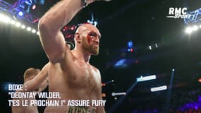 Boxe : "Deontay Wilder, t’es le prochain, abruti !" assure Fury