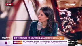 Les histoires de Charles Magnien : Le Luxembourg champion lors de la dégustation de vin à l'aveugle et le plus grand choucroute du monde - 12/10