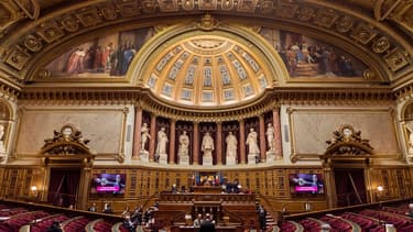 Pour Rémi Féraud (PS), le projet de budget "ne répond pas à la colère qui s'exprime aujourd'hui dans notre pays". "Il n'apporte aucune réponse", a renchéri Pascal Savoldelli (CRCE).