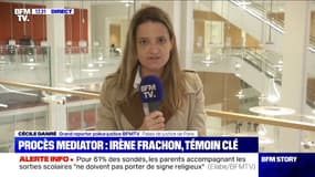 "Je suis tombée de l'armoire": au procès du Mediator, Irène Frachon raconte le moment où elle a compris les ravages causés par le médicament
