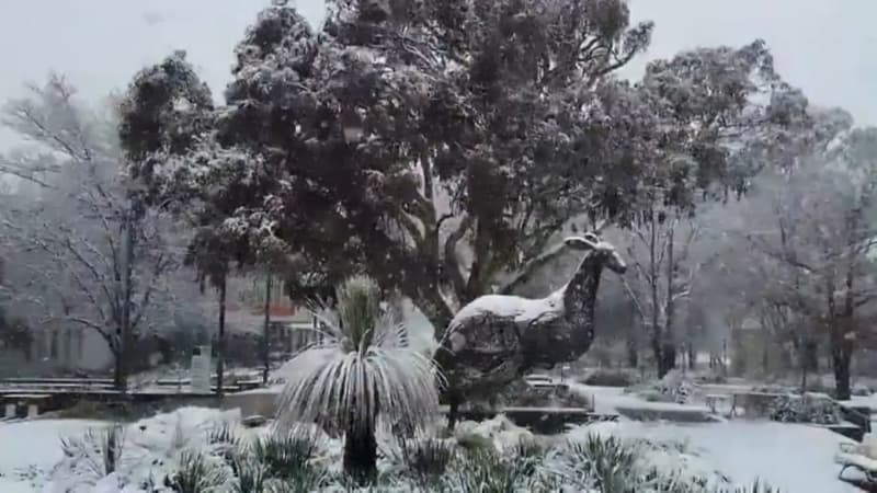 Du jamais-vu depuis 40 ans: les images de l'Est de l'Australie touchée par d'importantes chutes de neige