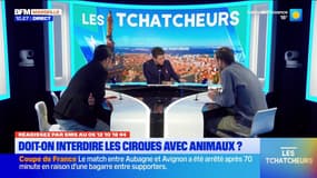 Encore un cirque avec animaux qui fait polémique à Marseille