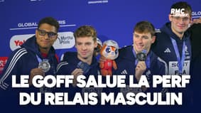 Mondiaux de natation : "La soirée parfaite, que du bonheur", savoure Le Goff après l’argent sur le relais