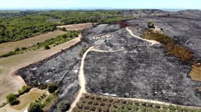 Incendies dans le Gard: ces images aériennes montrent les centaines d'hectares réduits en cendre