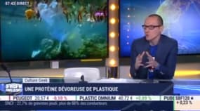 Une protéine dévoreuse de plastique, une piste prometteuse pour le recyclage