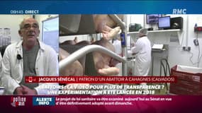 Au nom de la transparence, il installe trois caméras dans son abattoir: Jacques Sénécal, patron d'un abattoir en Normandie témoigne sur RMC