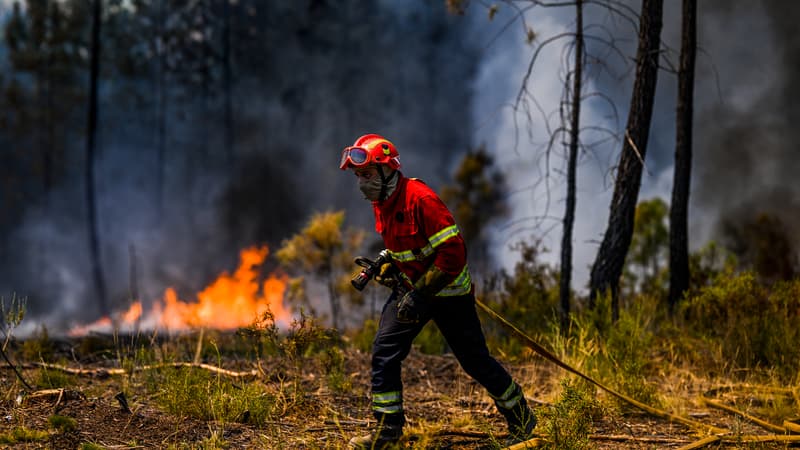 Incendies et températures extrêmes: l'Espagne et le Portugal en proie à la canicule