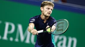 David Goffin - Belgique