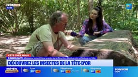 L'été chez nous: à la découverte des insectes du parc de la Tête d'Or 
