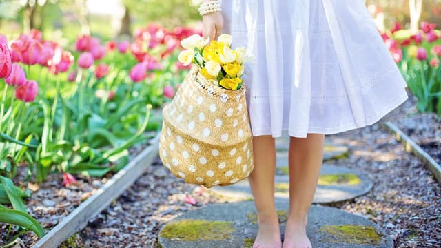 Le marché du jardinage a bondi de 40% sur les quatre premiers mois de l'année.