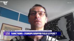 Sanctions : Europe/Russie, qui en souffre le plus ? - 21/05