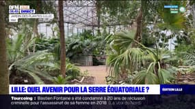 Lille: quel avenir pour la serre équatoriale ?