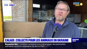 Calais: jusqu'au 2 avril, une collecte organisée pour venir en aide aux animaux en Ukraine