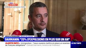 Gérald Darmanin: "Une partie des étrangers dans les grandes métropoles commettent l'essentiel des actes de délinquance"