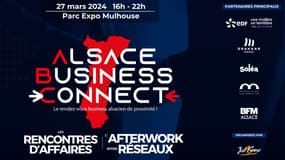 Alsace Business Connect