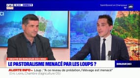 Exode des urbains vers les Hautes-Alpes: "Ils voudraient avoir tous les avantages sans les inconvénients"