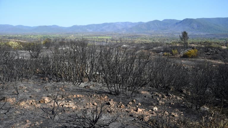 La végétation brûlée le 19 août 2021 près du Luc, dans le Var