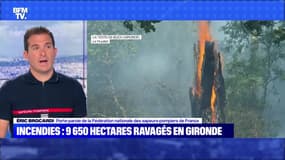 Incendies : 9 650 hectares ravagés en Gironde - 16/07