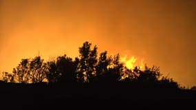 Les vents de la tempête Eleanor attisent plusieurs incendies en Corse