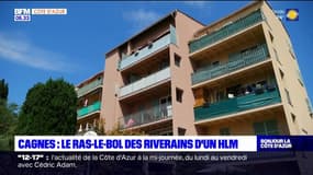Cagnes-sur-Mer: des riverains d'un HLM soupçonnent l'arrivée d'un trafic dans leur résidence