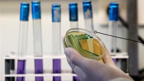 Les autorités sanitaires allemandes ont déclaré jeudi que la propagation de l'épidémie de contamination à Escherichia coli (E.coli) ralentissait mais n'excluent pas, compte tenu de la virulence de la bactérie, que le bilan des décès s'alourdisse. /Photo p