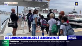 Alpes-Maritimes: des Cannois sensibilisés à la biodiversité
