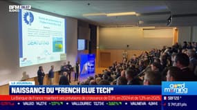 Naissance du "French Blue Tech"