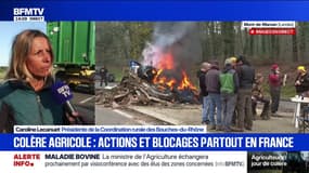 Blocages des agriculteurs: "C'est un premier signal d'alerte et à mon avis ce ne sera pas le dernier", déplore Caroline Lecanuet, présidente de la Coordination rurale des Bouches-du-Rhône