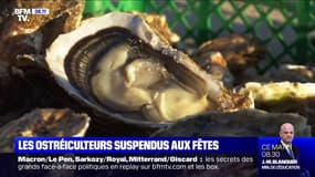 Après une année compliquée, les ostréiculteurs attendent beaucoup des fêtes