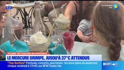 JT du Sud du jeudi 12 juin