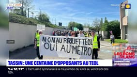 Tassin-la-Demi-Lune: une centaine d'opposants au TEOL