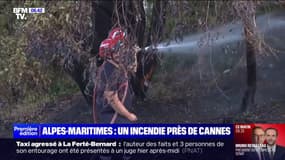 Mandelieu-la-Napoule: un hectare brûlé dans un feu de végétation, 150 pompiers mobilisés