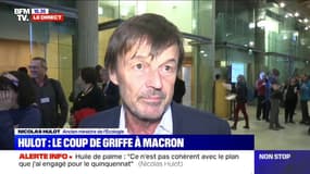 Nicolas Hulot: "L'écologie n'est pas une variable d'ajustement, c'est un changement de société"