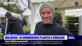 Mulhouse: un marché aux plantes organisé ce week-end